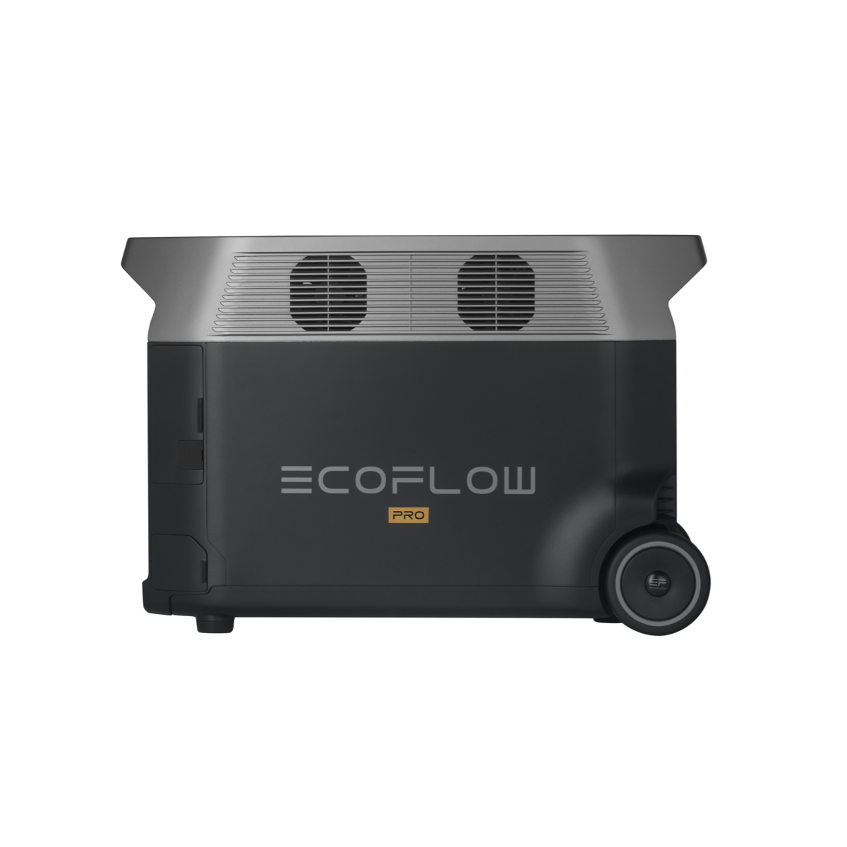 EcoFlow DELTA Pro